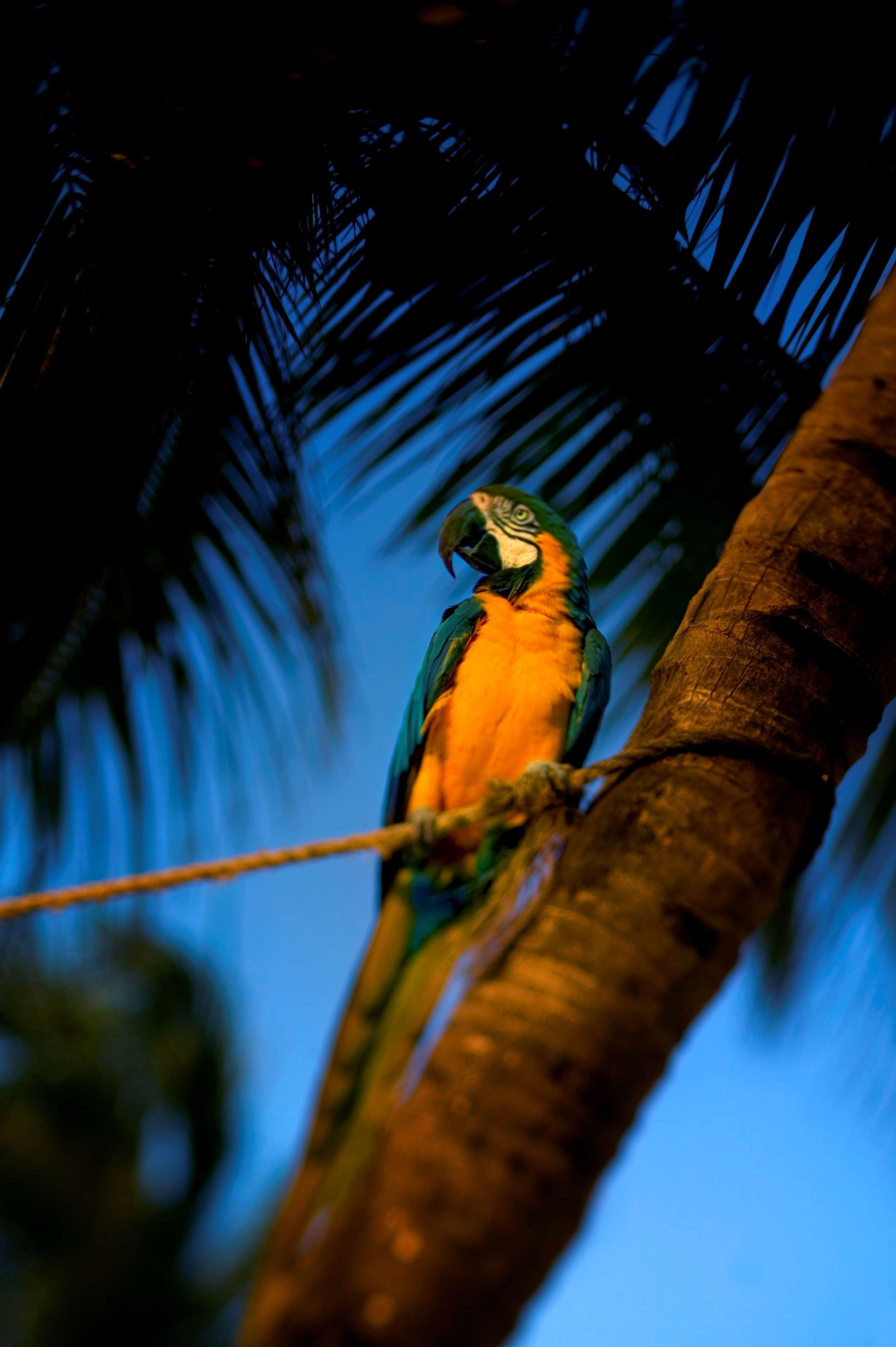 Hyatt Centric Key West Resort & Spa Exterior foto